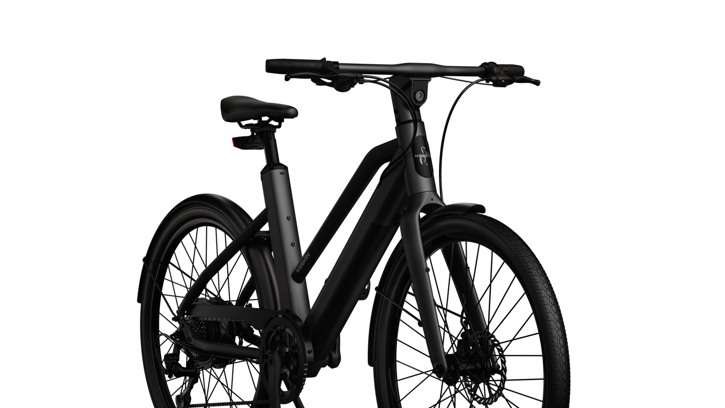 eBike_Woman_Black_2